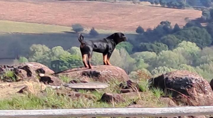 Midlands Inverness Cottages