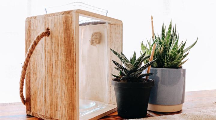 Livingstone Guesthouse