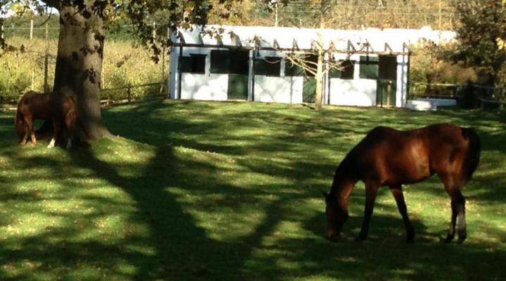Vredenhof Farm Cottage
