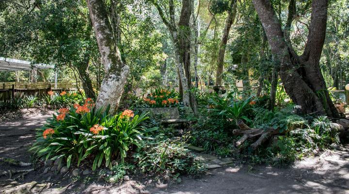 Natures Valley Health Retreat