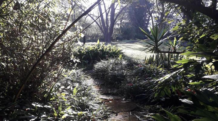Buhleni Farm Chalets
