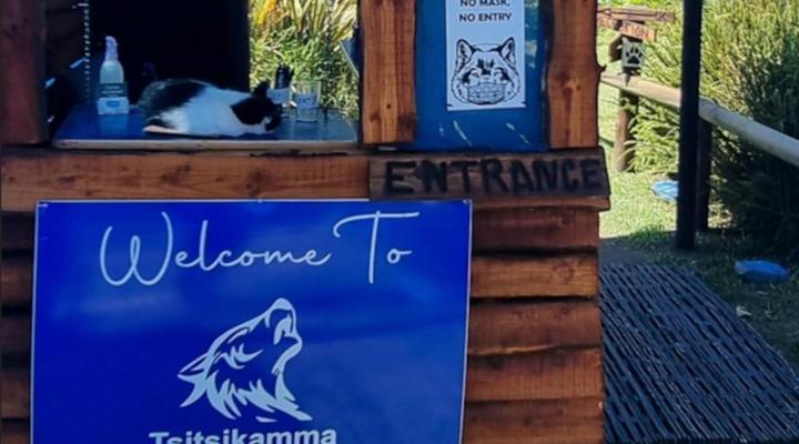 Tsitsikamma Wolf Sanctuary