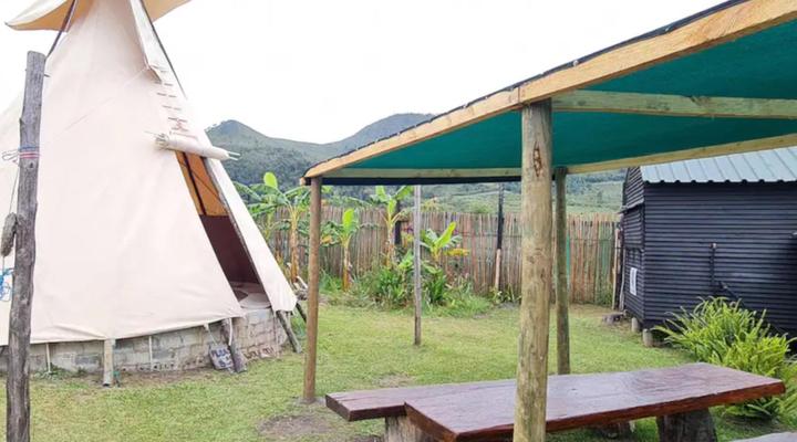 Tsitsikamma Wolf Sanctuary