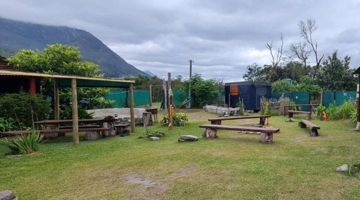 Tsitsikamma Wolf Sanctuary