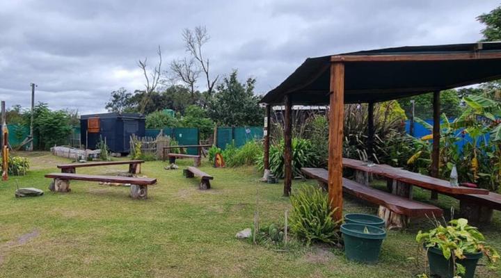 Tsitsikamma Wolf Sanctuary