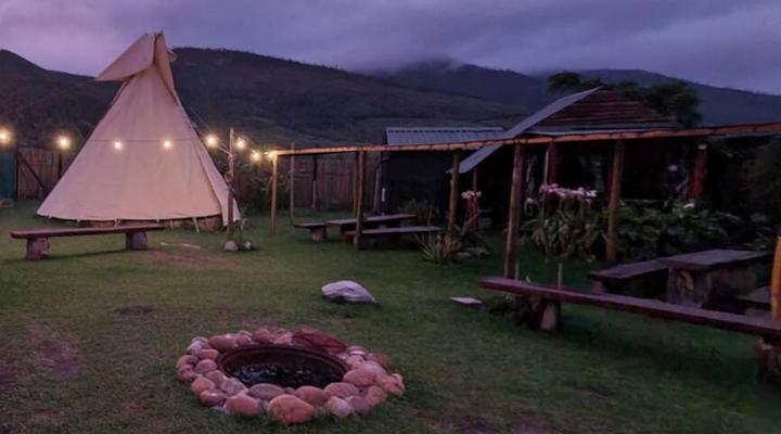 Tsitsikamma Wolf Sanctuary