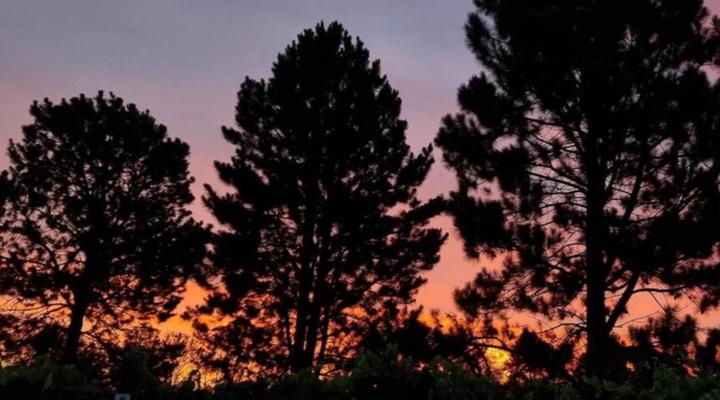 Tsitsikamma Wolf Sanctuary