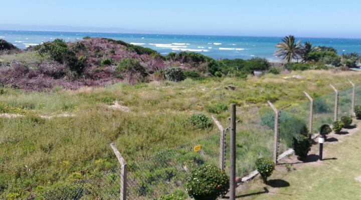 42 Claptons Beach The Jackalope