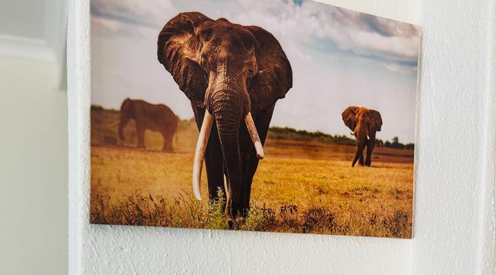 Khubonye Royal Guesthouse