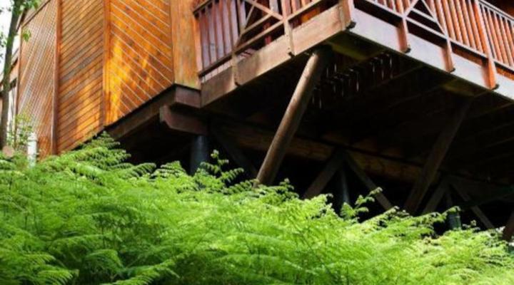 ArendsRus Country Lodge