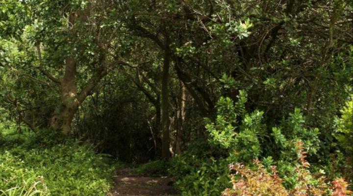 ArendsRus Country Lodge