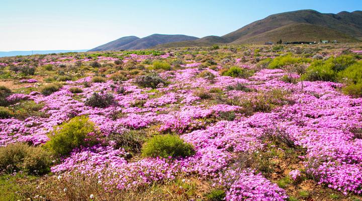 Lankverwacht Guestfarm and Camping