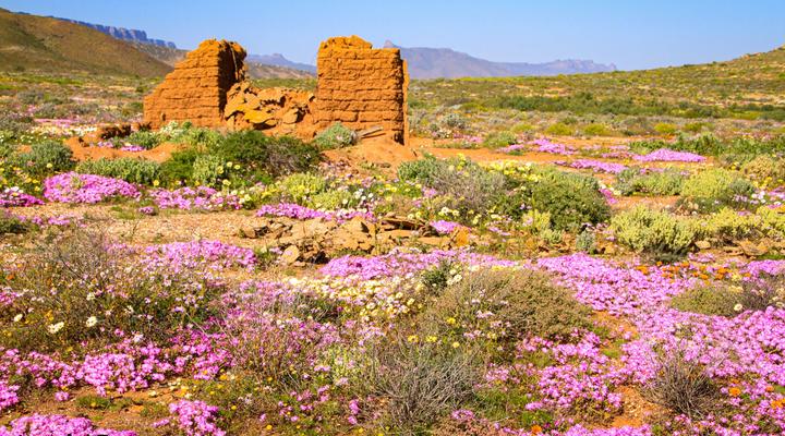 Lankverwacht Guestfarm and Camping