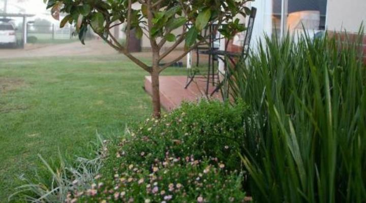 Sneezewood Farm B&B and Self-Catering Cottage