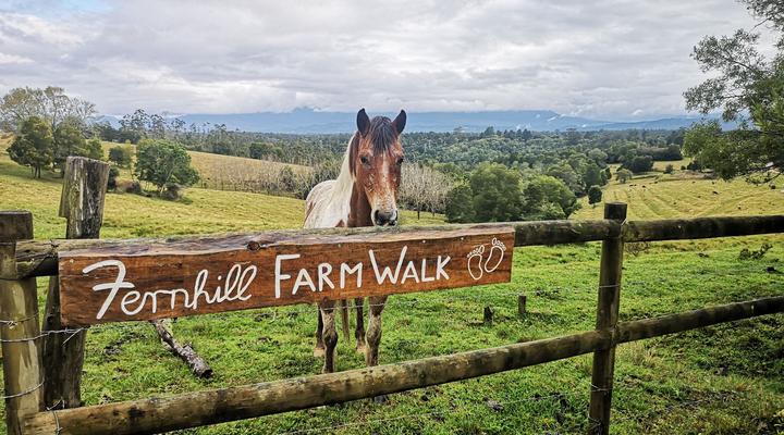 Fernhill Guest Farm