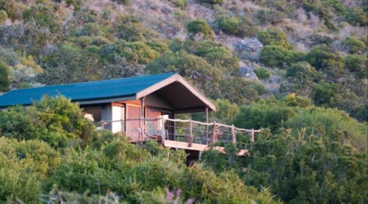 HillsNek Safari Camp