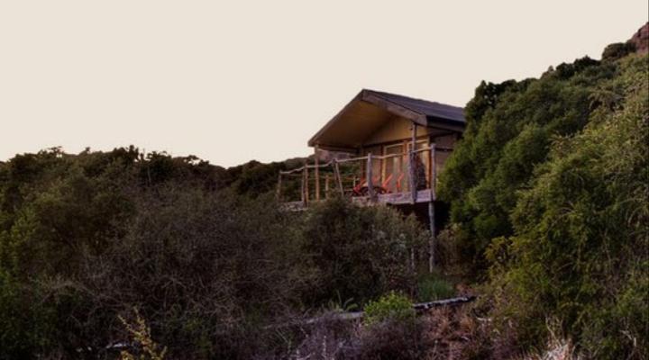 HillsNek Safari Camp