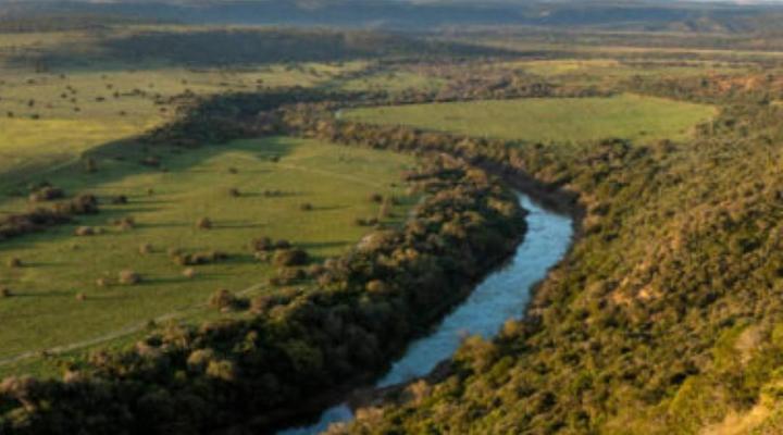 HillsNek Safari Camp