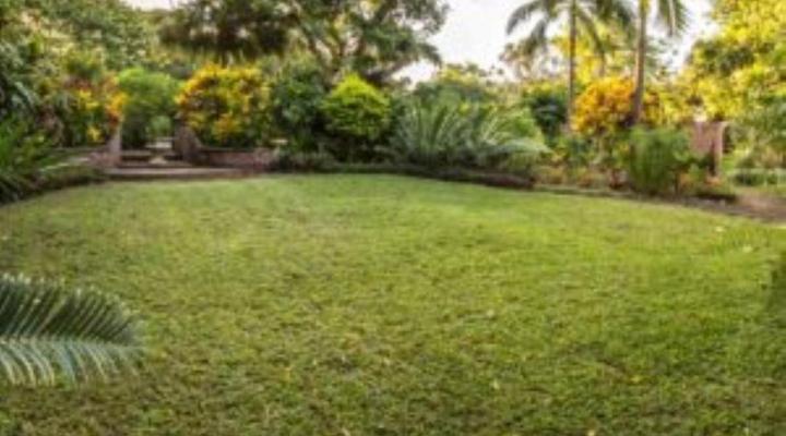 Wendy's Country Lodge