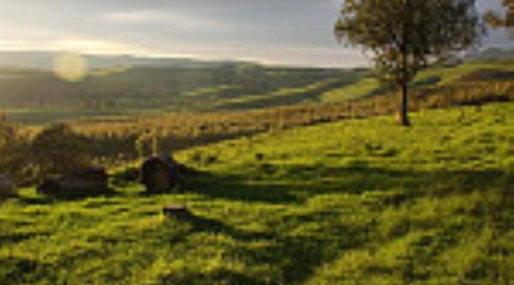 Beverley Country Cottages