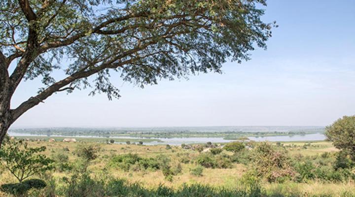 Bwana Tembo Safari Camp