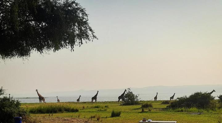 Bwana Tembo Safari Camp