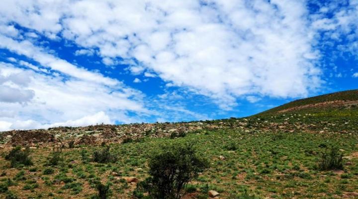 Aarfontein Karoo Hoogland