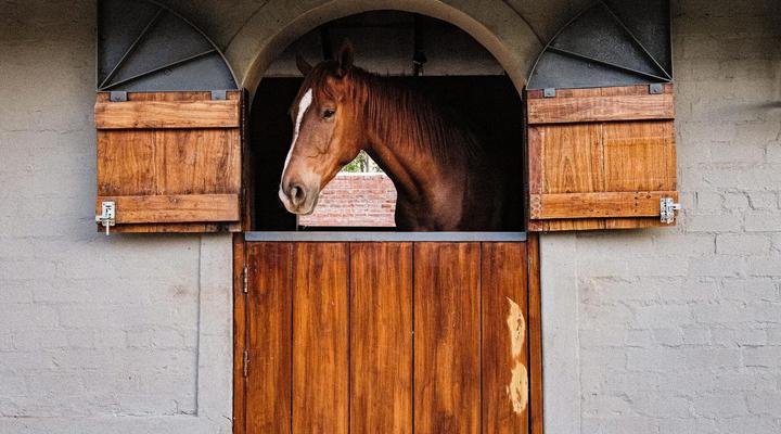 The Peech Boutique Hotel Zimbabwe