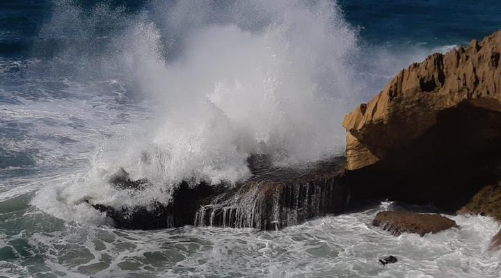 Cowrie Lodge @ Cove Rock Country Estate