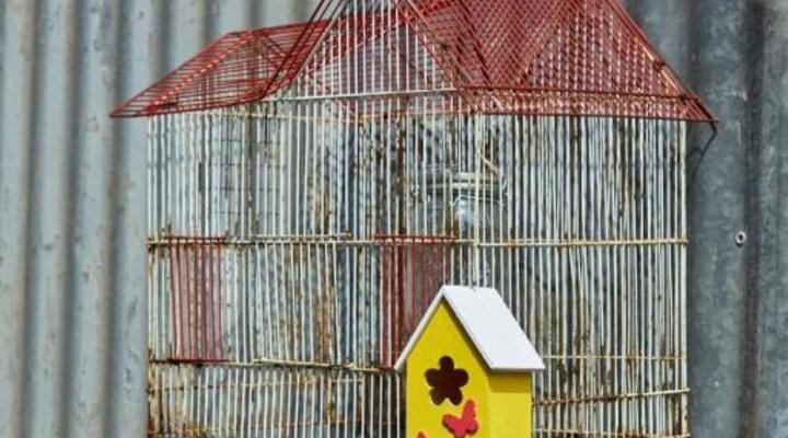 Yellow Aloe Guesthouse