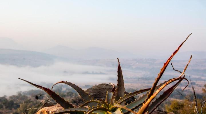 Oppiberg Guest House