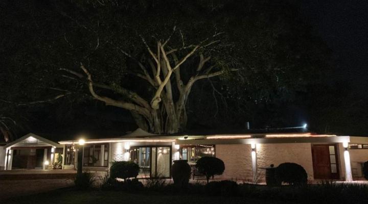 Damas Guesthouse Farm