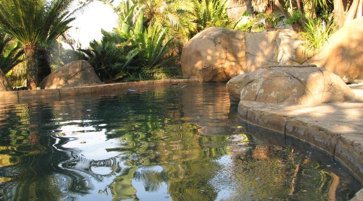 Acacia House Executive Suite