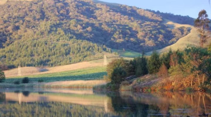 Beacon Vlei Guest Farm