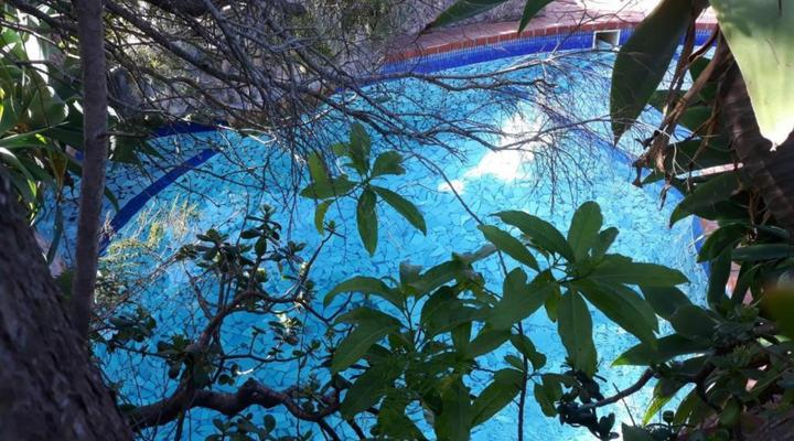 Albert Road Garden Guest House