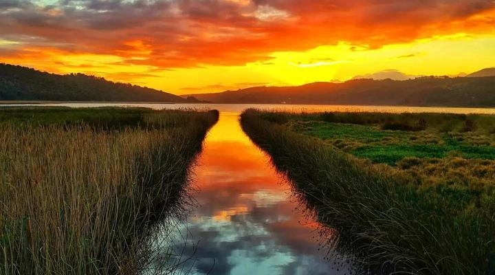 Reflections Eco-Reserve