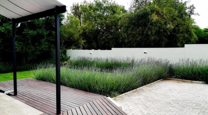 Tranquil House B&B @ 1 College Avenue