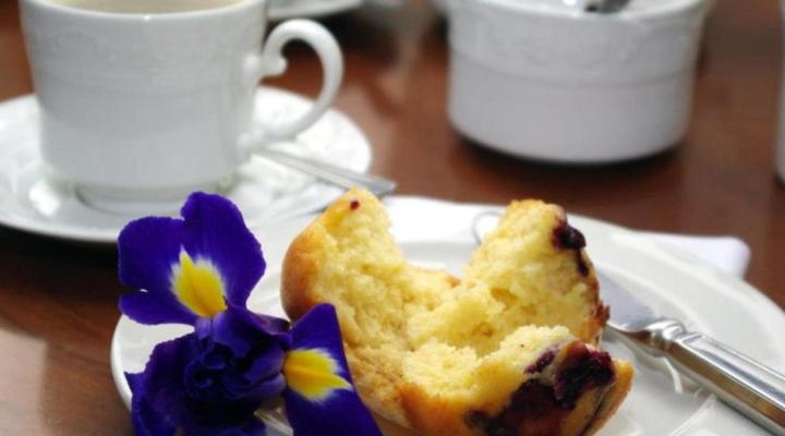 Lyngrove Wines and Guest House