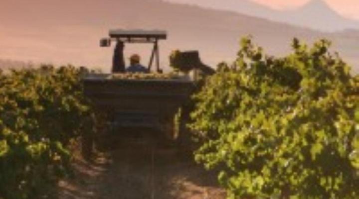 Lyngrove Wines and Guest House