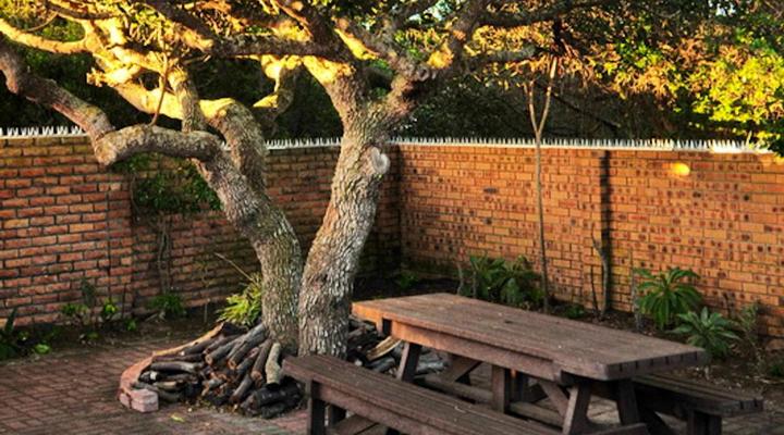 Great White Accommodation