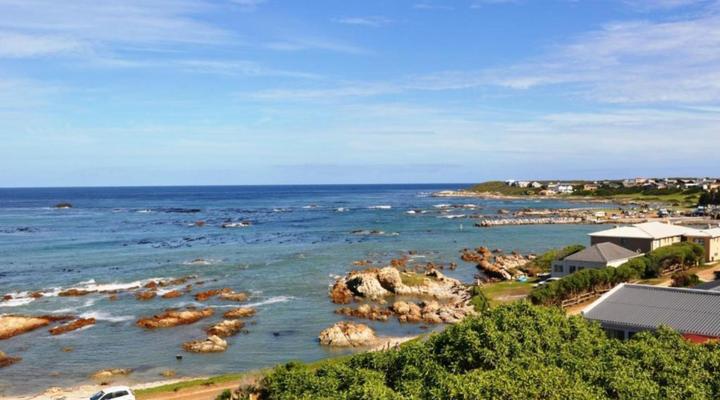 Great White Accommodation