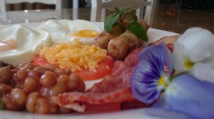 Convent Hill Lodge B&B