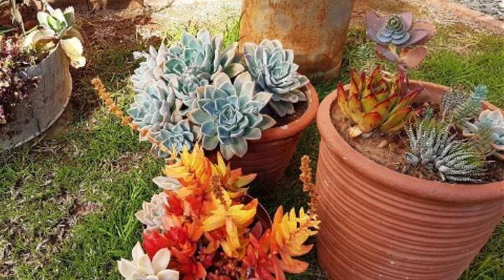 Karoo Sun Guest House