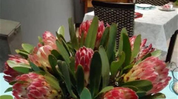 Karoo Sun Guest House