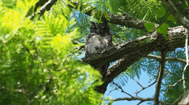 Gerald's Gift Guest House