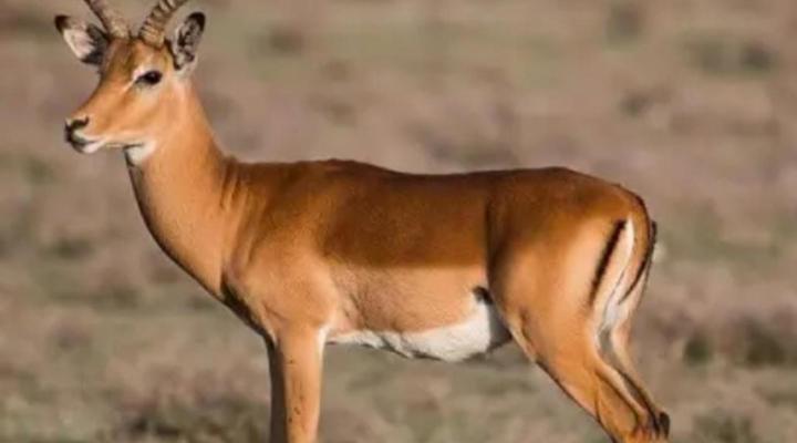 Mzimkhulu Ranch & Resort