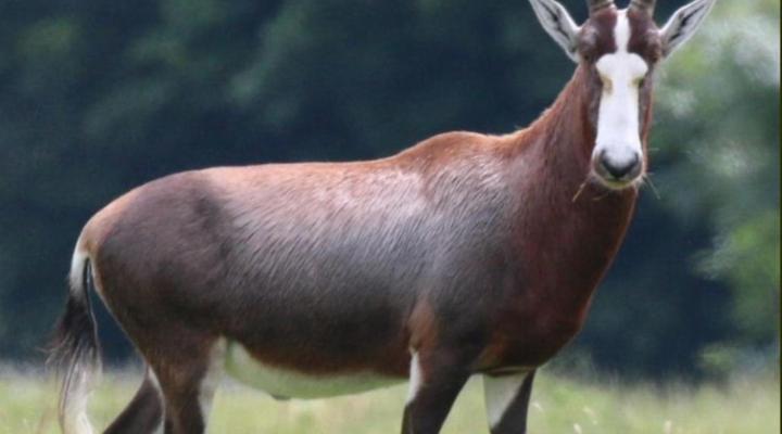 Mzimkhulu Ranch & Resort