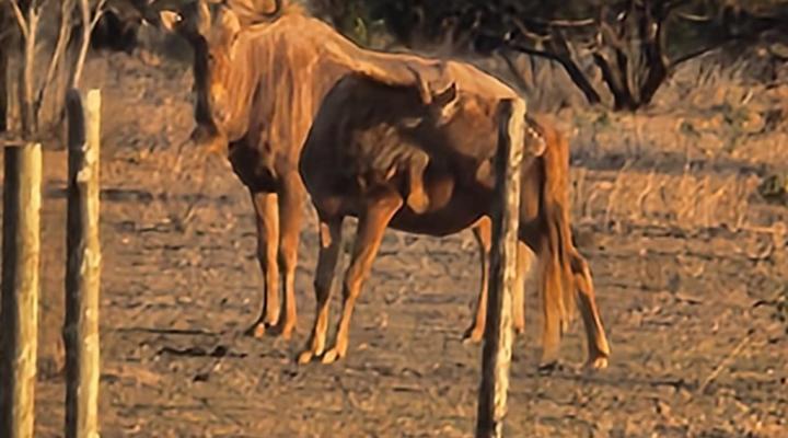 Mzimkhulu Ranch & Resort