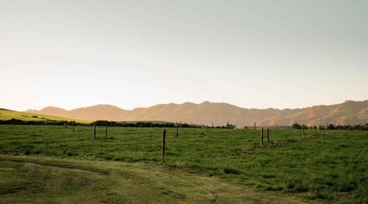 Melkhout Guest Farm