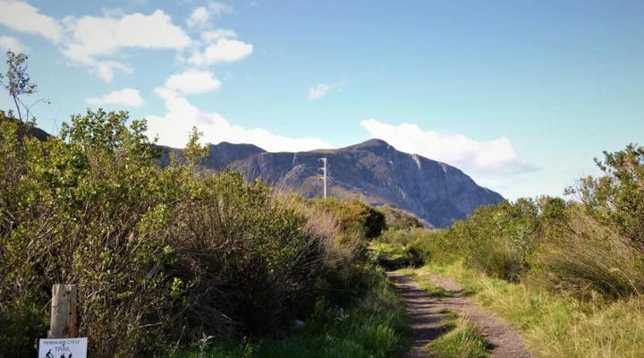 Whales and Sails Family Accommodation